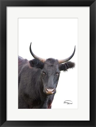 Framed Whatzup Print