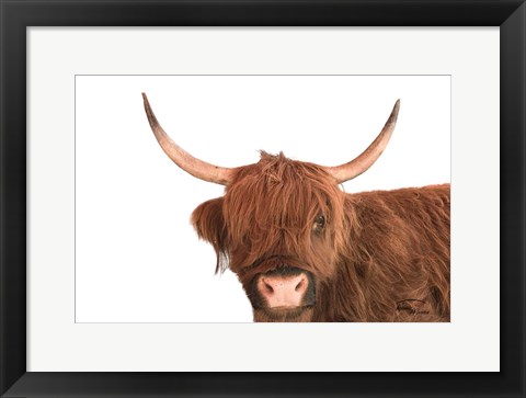 Framed Highland Calf I Print