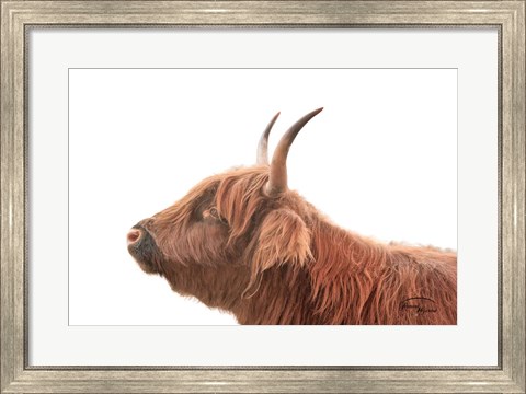 Framed Highland Calf II Print