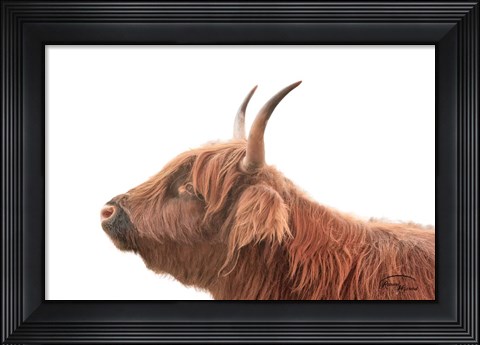Framed Highland Calf II Print
