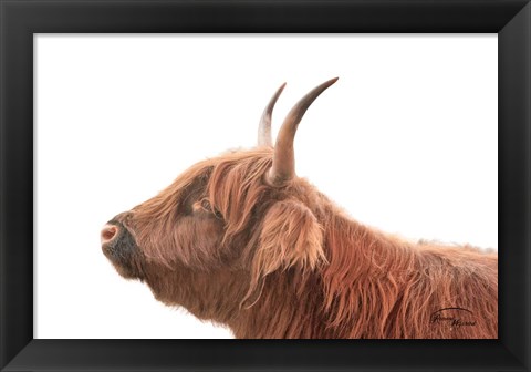 Framed Highland Calf II Print