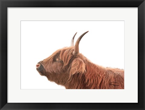 Framed Highland Calf II Print