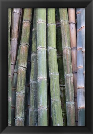 Framed Bamboo Fence Print