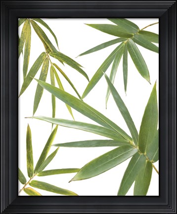 Framed Bamboo Collage Print