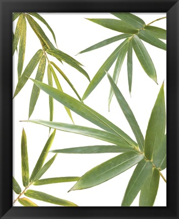 Framed Bamboo Collage Print