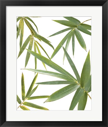 Framed Bamboo Collage Print