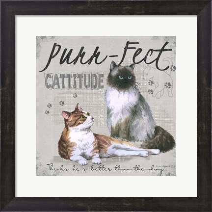 Framed Cattitude Print