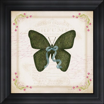 Framed Butterfly Print