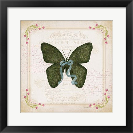 Framed Butterfly Print