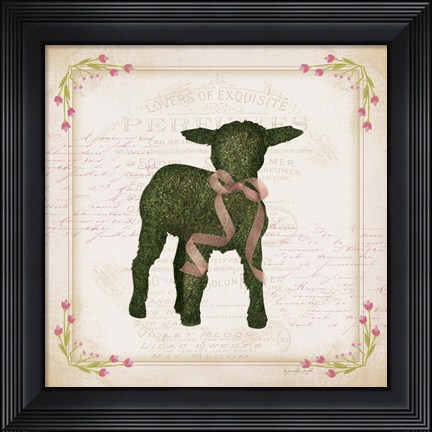 Framed Lamb Print