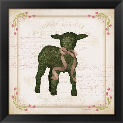 Framed Lamb Print