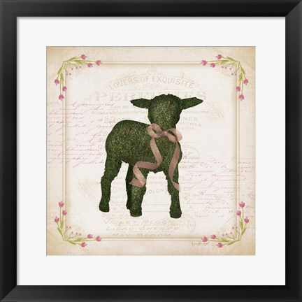 Framed Lamb Print