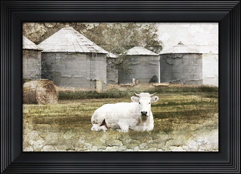 Framed White Cow Print