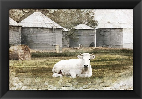 Framed White Cow Print