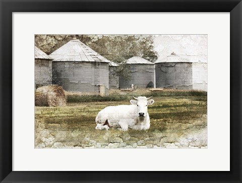 Framed White Cow Print