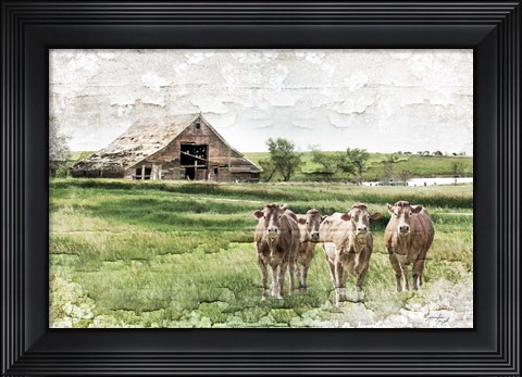 Framed Cows Print