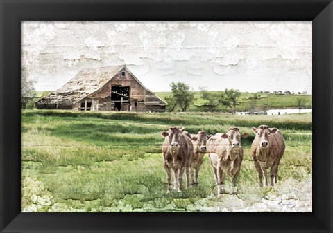 Framed Cows Print