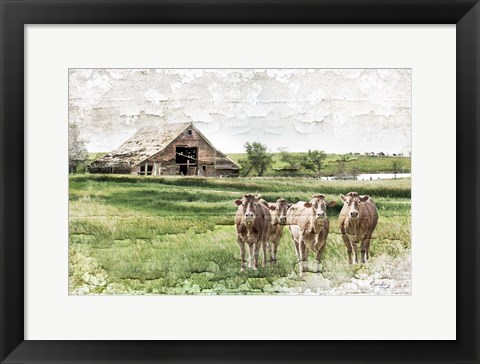 Framed Cows Print