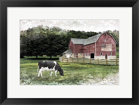 Framed Cow Print