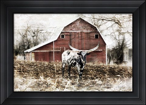 Framed Longhorn Print
