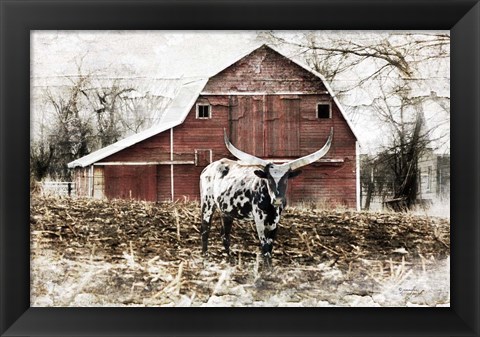 Framed Longhorn Print