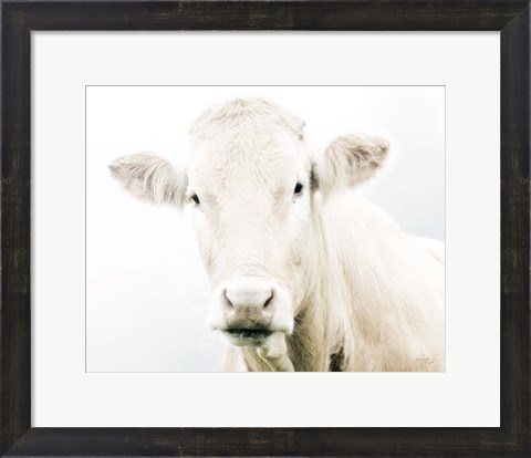 Framed Cow II Print