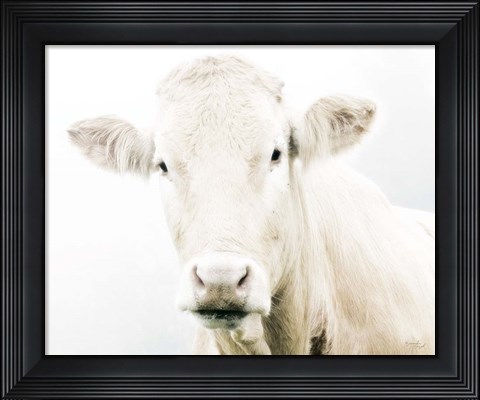 Framed Cow II Print