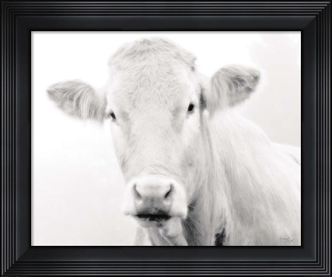 Framed Cow III Print