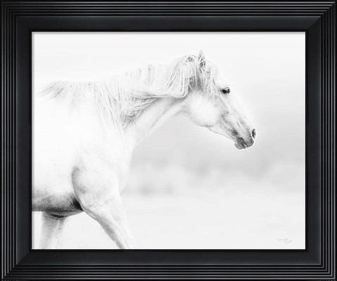 Framed Horse Print