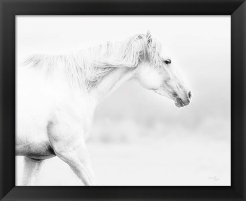 Framed Horse Print