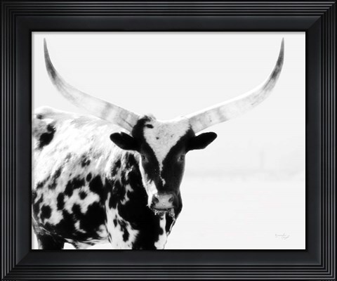 Framed Longhorn II Print
