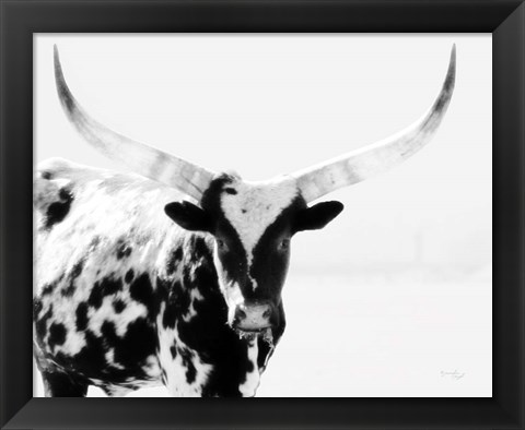 Framed Longhorn II Print