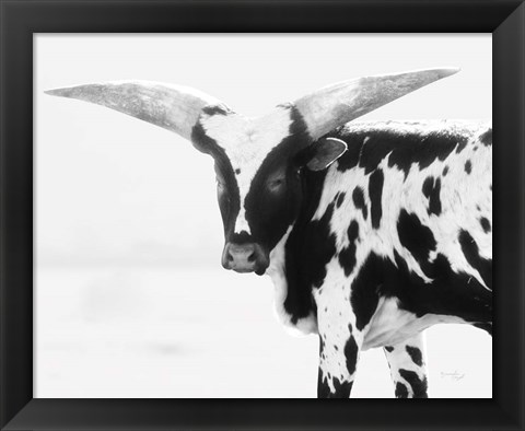 Framed Longhorn III Print