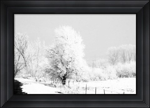 Framed Winter Scene Print