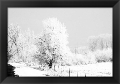 Framed Winter Scene Print