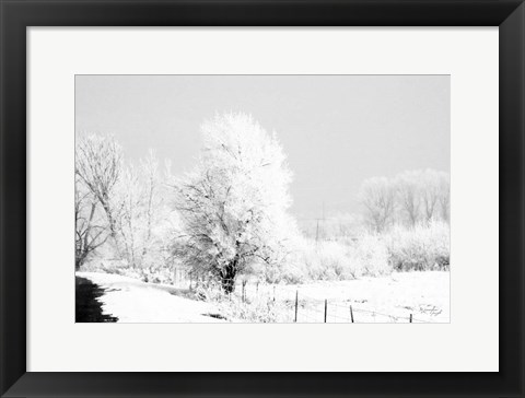 Framed Winter Scene Print