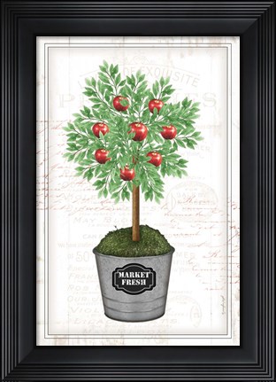 Framed Apple Topiary Print