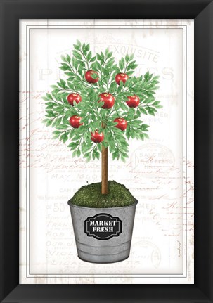 Framed Apple Topiary Print