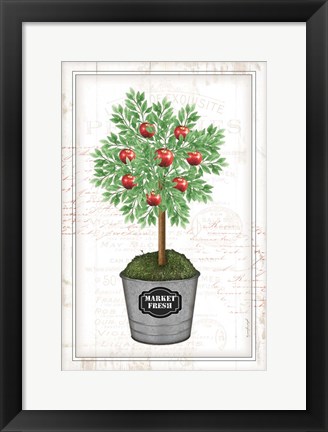 Framed Apple Topiary Print