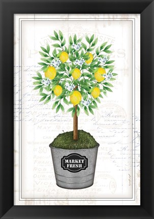 Framed Lemon Topiary Print