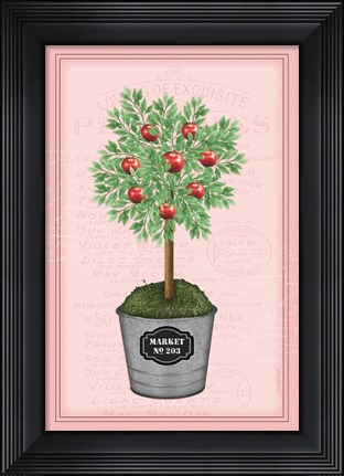 Framed Apple Topiary - Pink Print