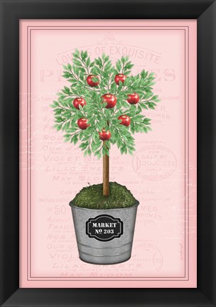 Framed Apple Topiary - Pink Print