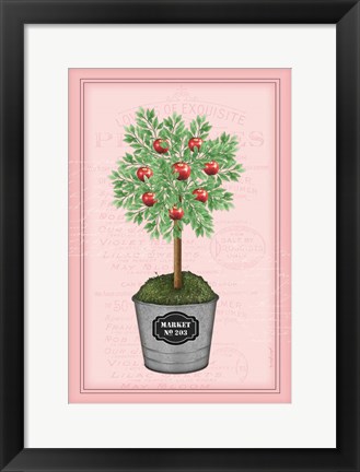 Framed Apple Topiary - Pink Print