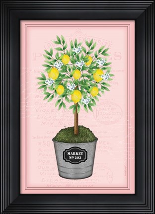 Framed Lemon Topiary - Pink Print