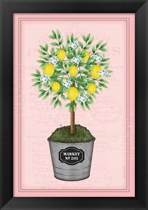 Framed Lemon Topiary - Pink Print