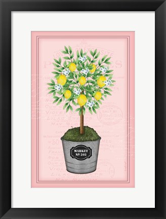 Framed Lemon Topiary - Pink Print