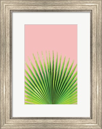 Framed Pink Palm I Print