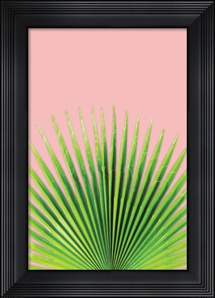 Framed Pink Palm I Print