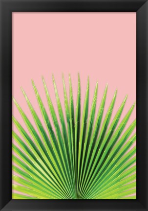 Framed Pink Palm I Print