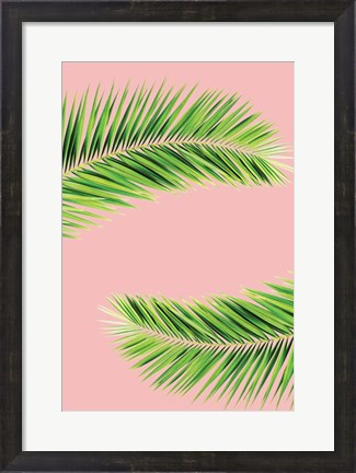 Framed Pink Palm II Print